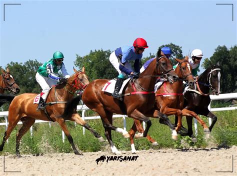 chelmsford erken bahis oranları